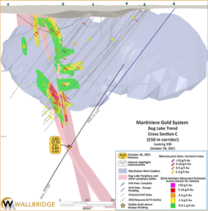 Martiniere Gold, Cross Section C