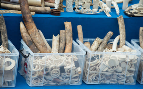  Ivory and ivory products, seized in Beijing, 2015 - Credit:  Getty Images