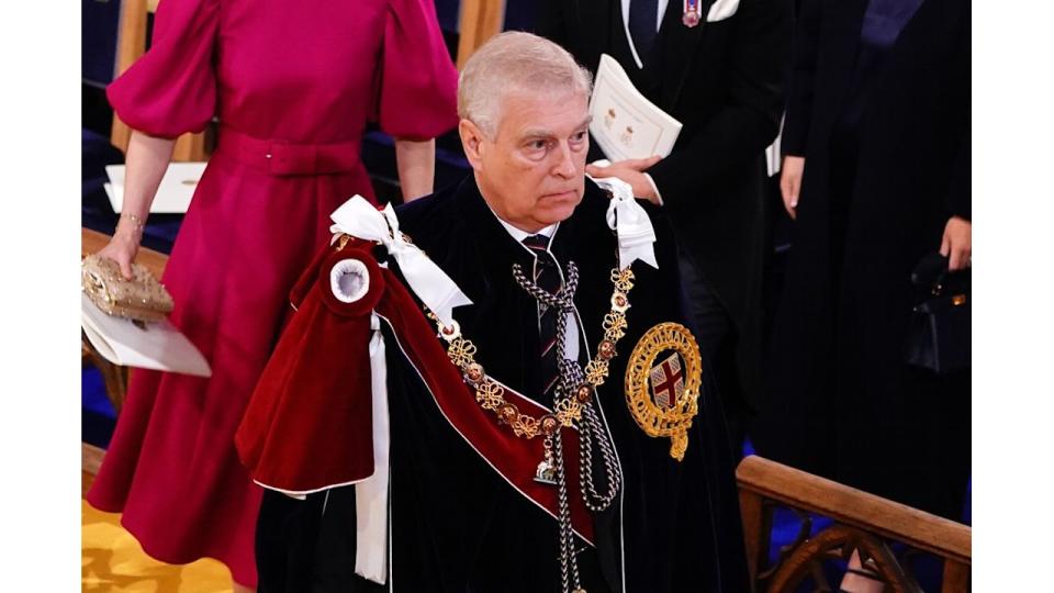 Prince Andrew in his robes at the coronation 