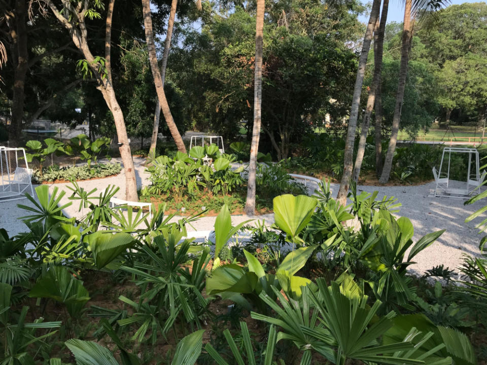 The garden at the Harmony Centre in Penang. — Picture courtesy of Sputnik Forest Labs
