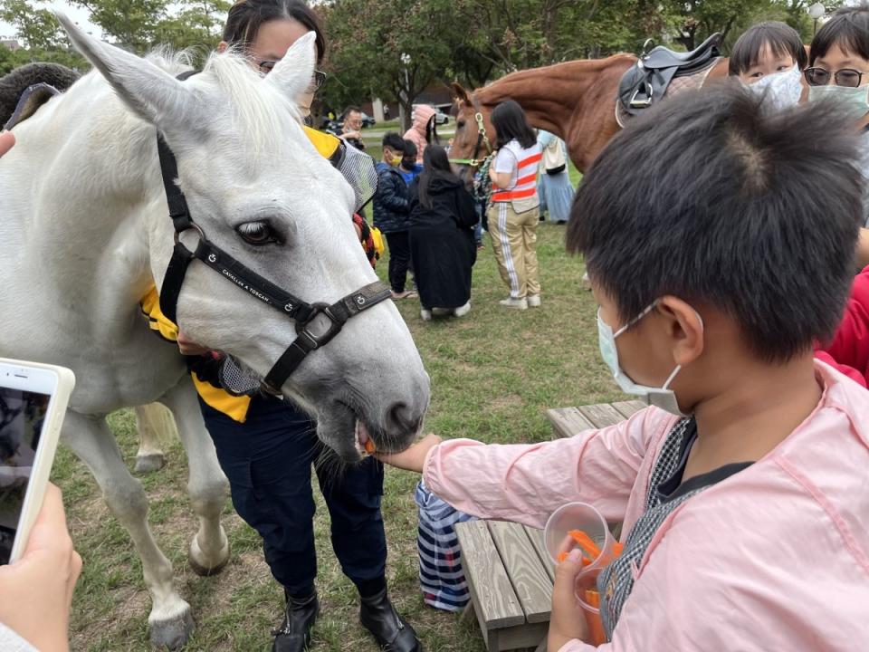 馬上培養品格力，
　東海大學是中台灣第一所校內擁有馬廄的大學，今年推出兒童馬術冬令營，受到家長關注。（圖：東海大學提供）