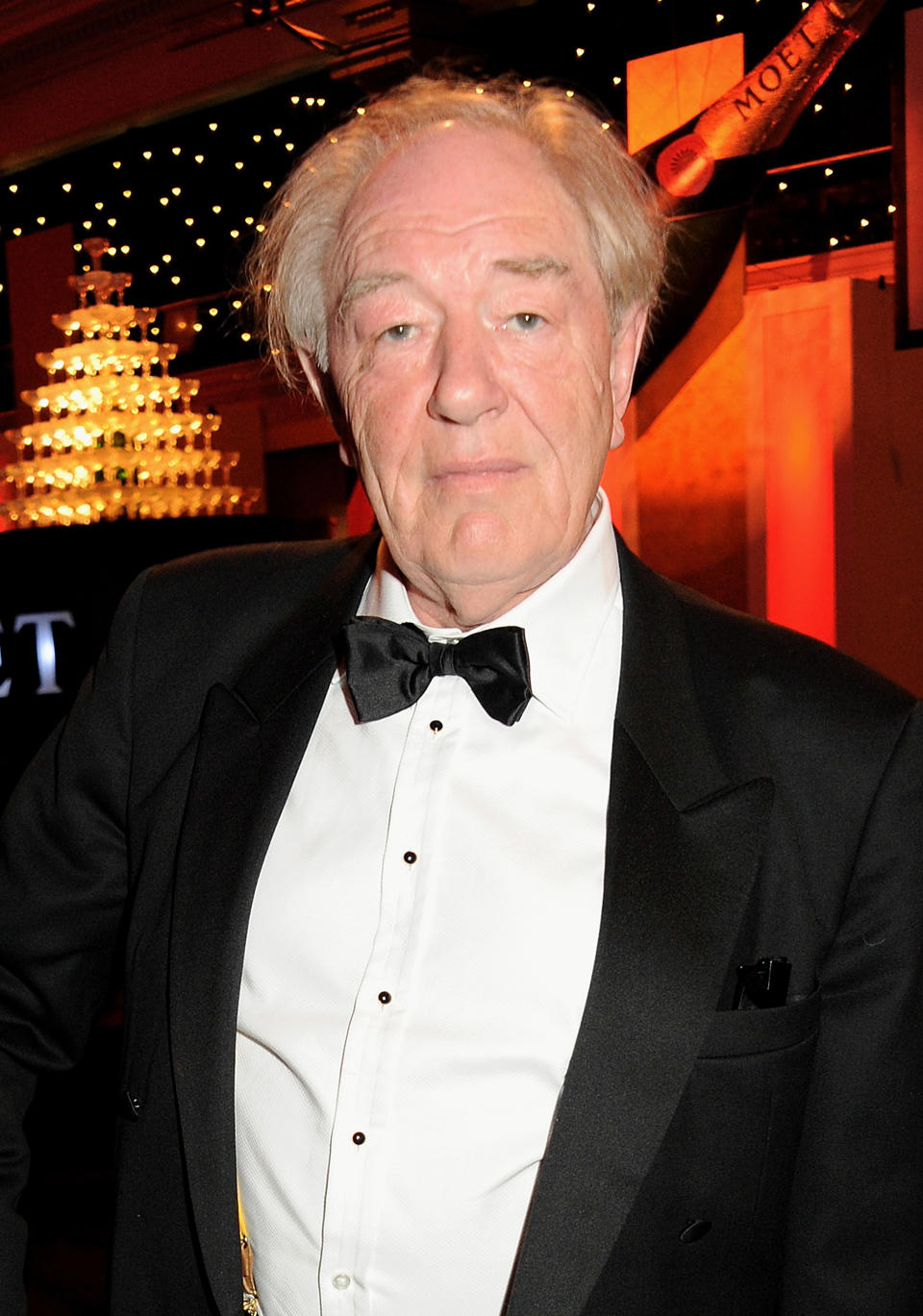 Michael Gambon Had an Impressive Net Worth: Find Out How the 'Harry Potter' Actor Made Money