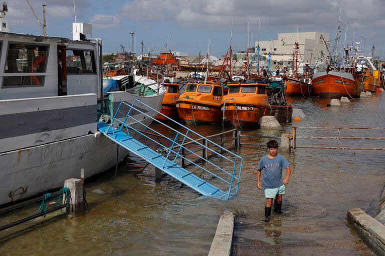 Agua hasta las rodillas para subir a los barcos en el puerto de Mar del Plata