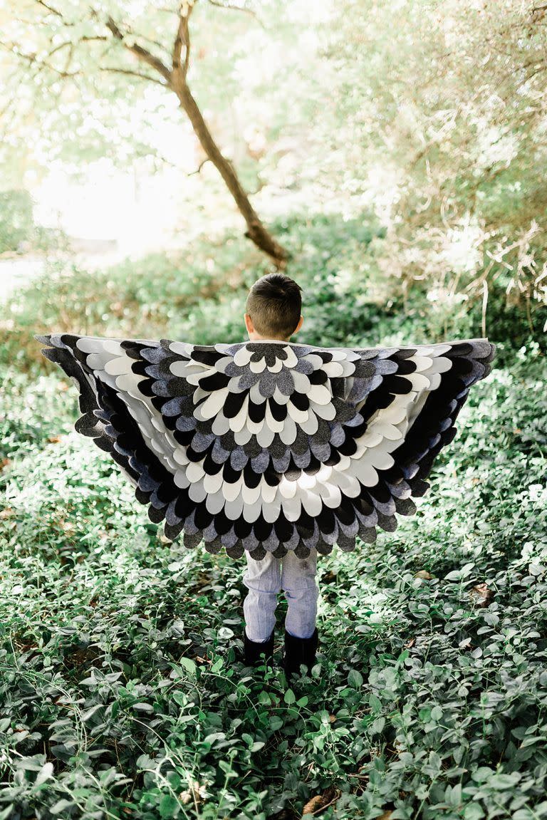 Bird Wings Costume