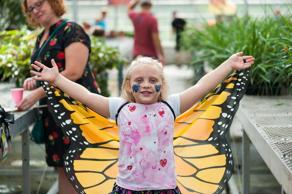 Stanley’s Greenhouse holds its annual Butterfly Festival every August. The next one is coming up on Sat. Aug. 27, 2022. Picture taken Aug. 18, 2018 at Stanley’s Greenhouse in South Knoxville.