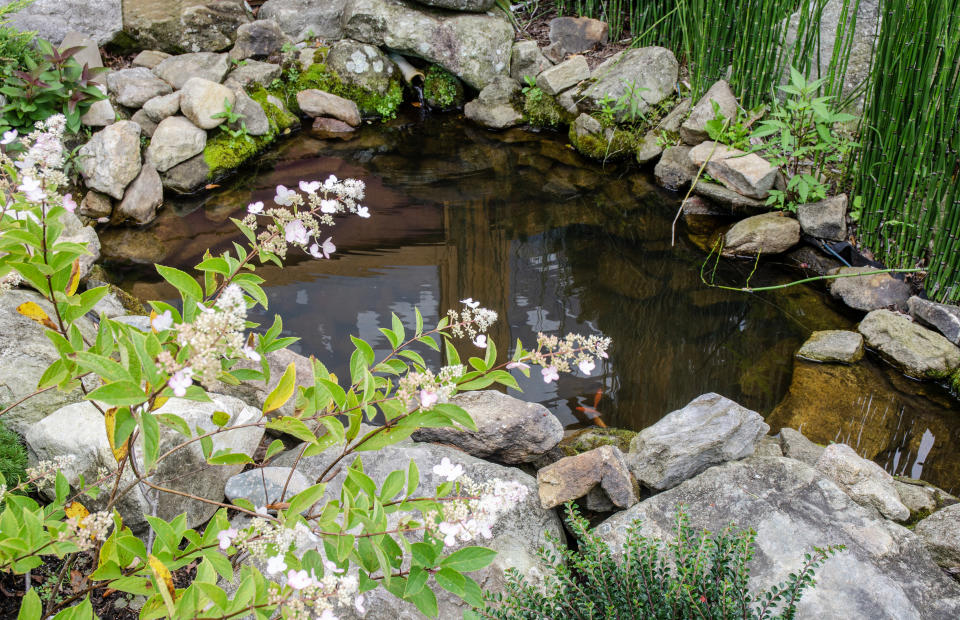 A small pond surrounded by rocks and plants, with white flowers in the foreground. The article is categorized as "Nifty."