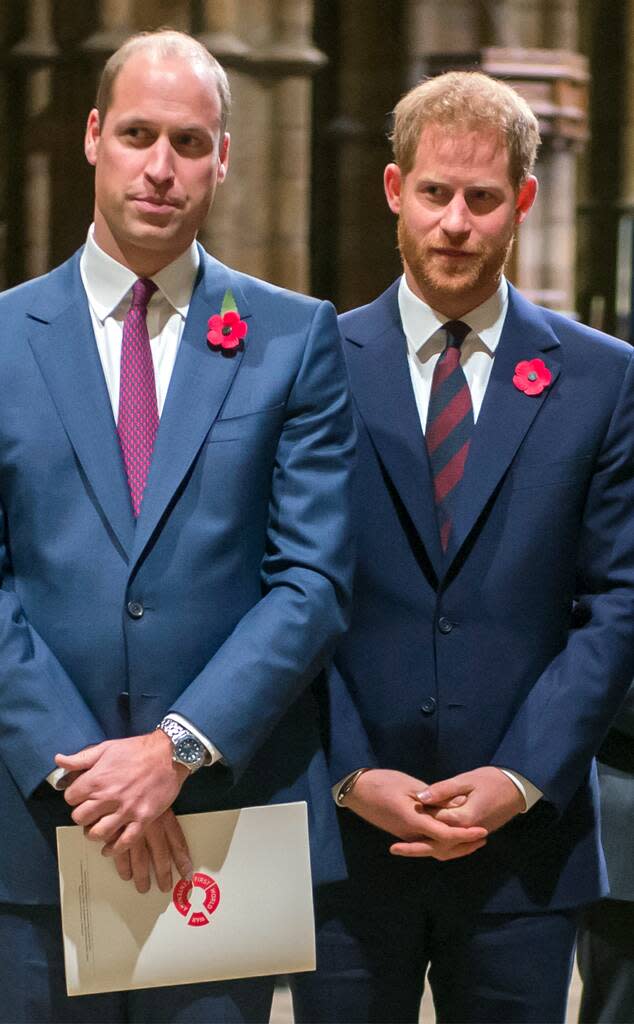 Prince William, Prince Harry