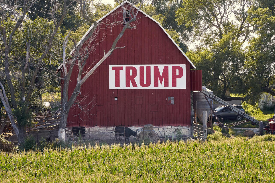 Corn grows in front of a barn carrying a large Trump sign in rural Ashland, Neb., Tuesday, July 24, 2018. The Trump administration announced Tuesday it will provide $12 billion in emergency relief to ease the pain of American farmers slammed by President Donald Trump's escalating trade disputes with China and other countries. (AP Photo/Nati Harnik)