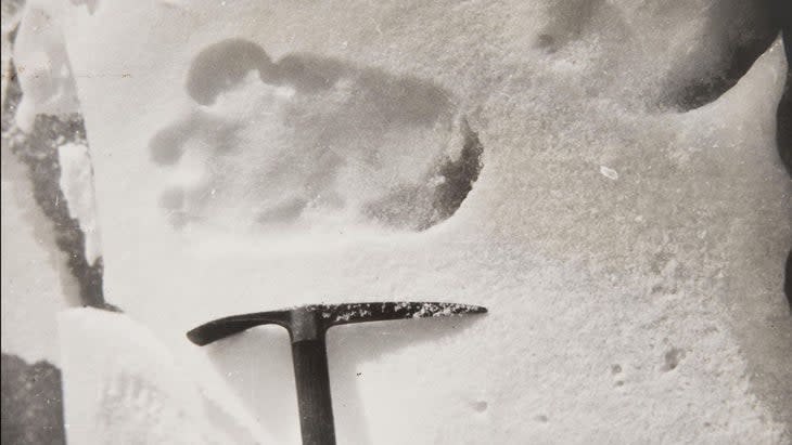 Bigfoot print in the snow