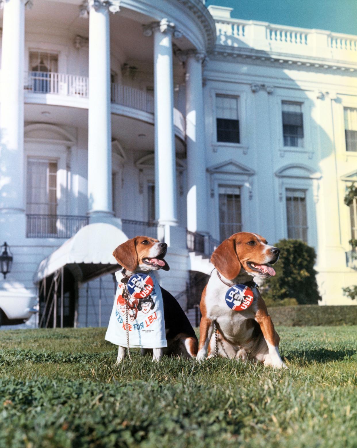 Lyndon B. Johnson beagles