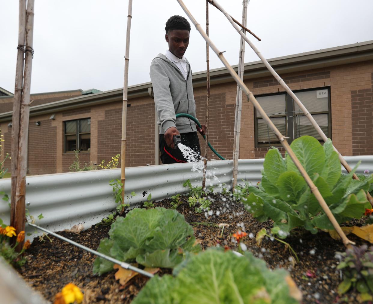Avin Mobley waters the student garden at Johnson High School on Thursday, April 11, 2024.