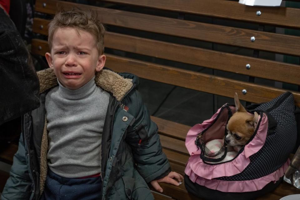 A little boy cries after escaping through shelling to Zaporizhzhia with his pet dog (Bel Trew)