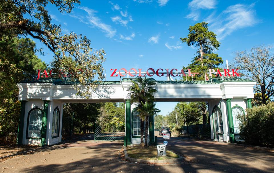 The City of Jackson's pools and zoo will be open for the summer. But lifeguards and zookeepers are needed.