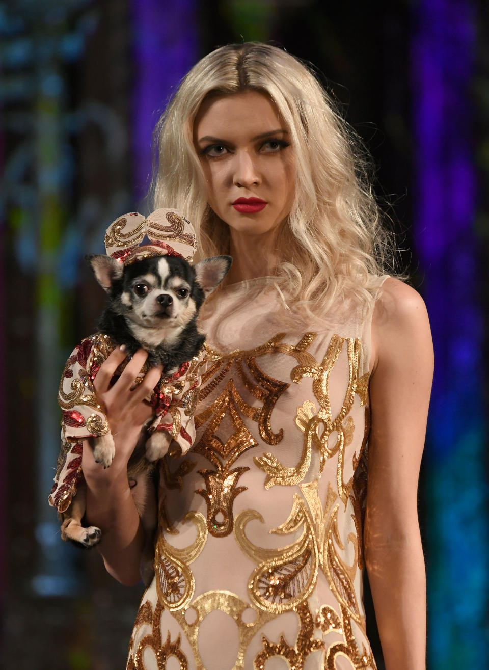 Haute Couture für Hunde? Nicht allen dürfte dieses Modekonzept gefallen … (Bild: Getty Images)