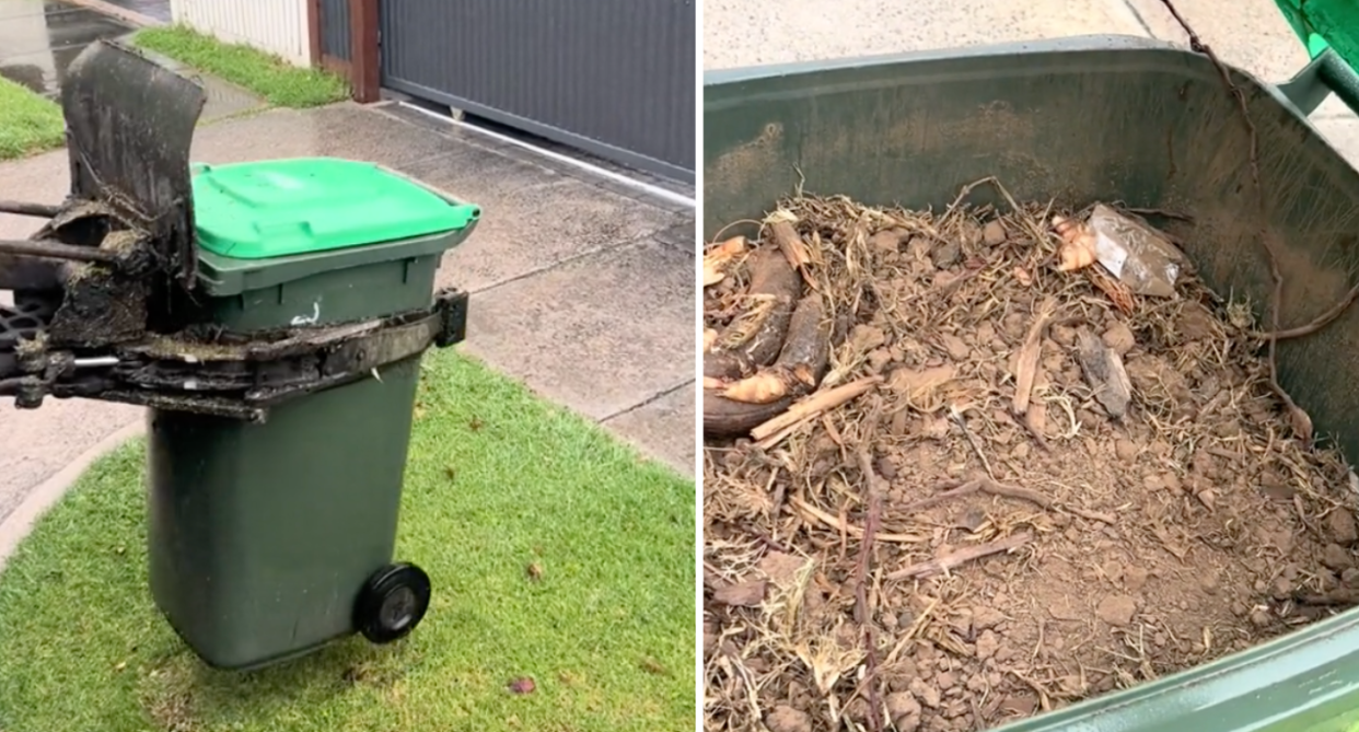 Left image of the green-lidded FOGO bin with a truck arm trying to lift it. Right image of the opened bin with dirt inside.