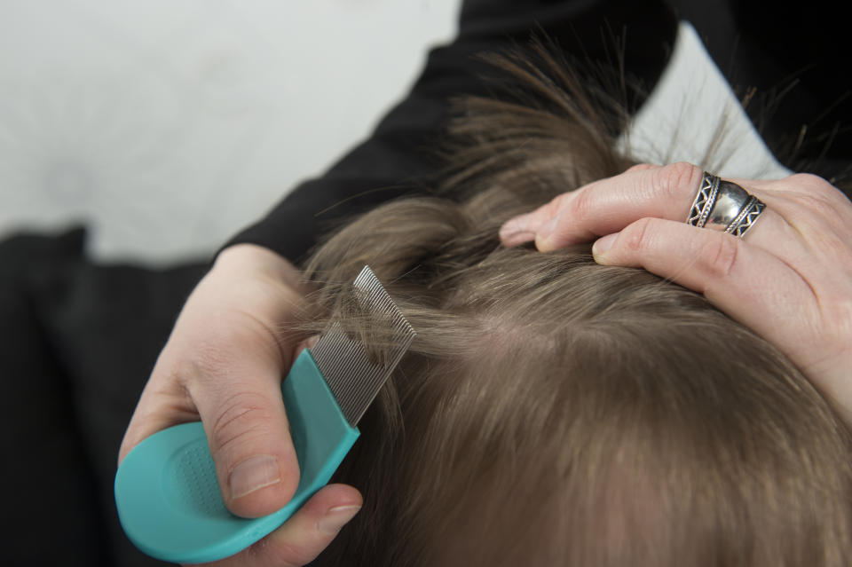 Mother checking childs head for lice with a comb