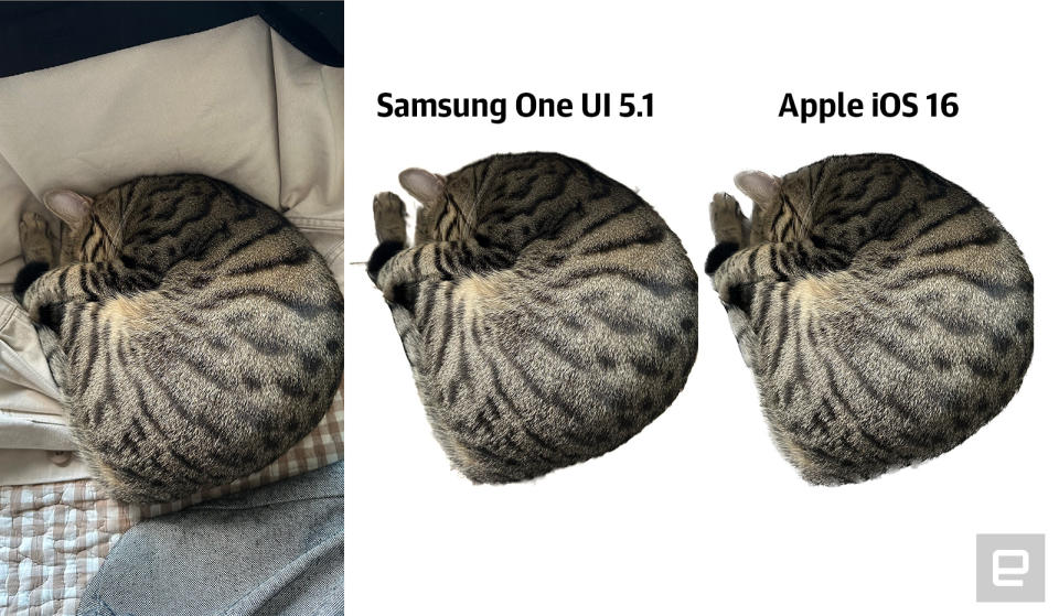 Samsung Galaxy S23 Ultra 拍攝示範