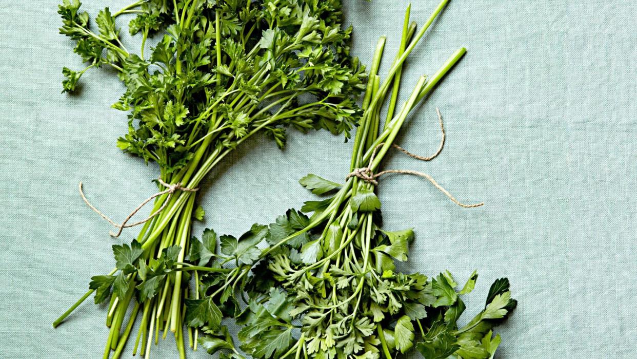 parsley varieties on blue cloth