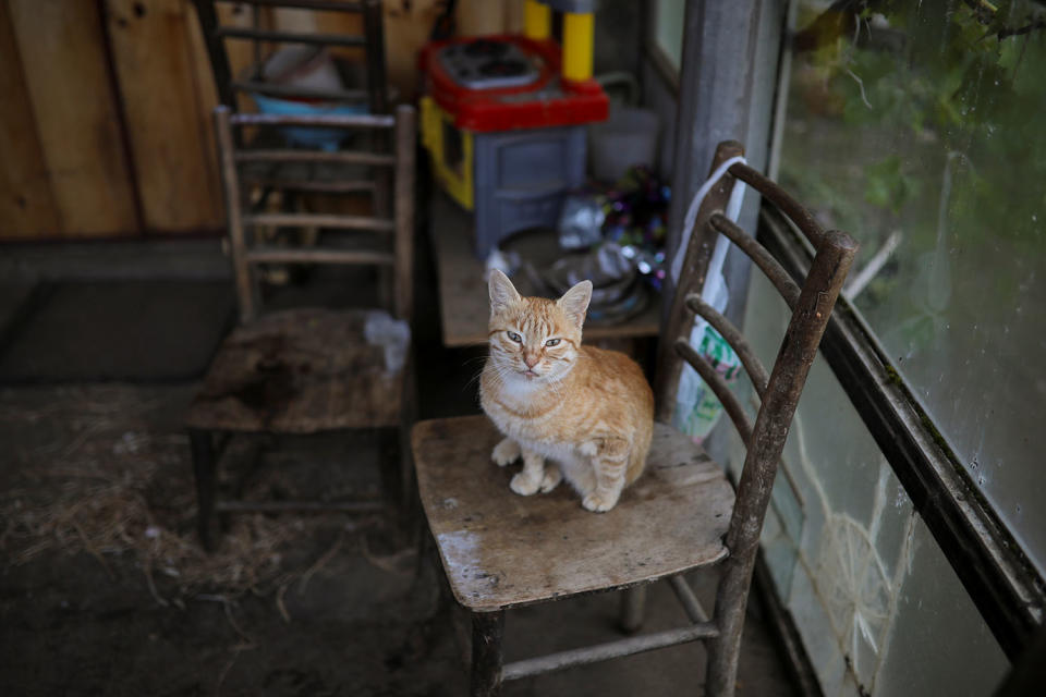 Depopulation turns Serbia’s villages into ghost towns