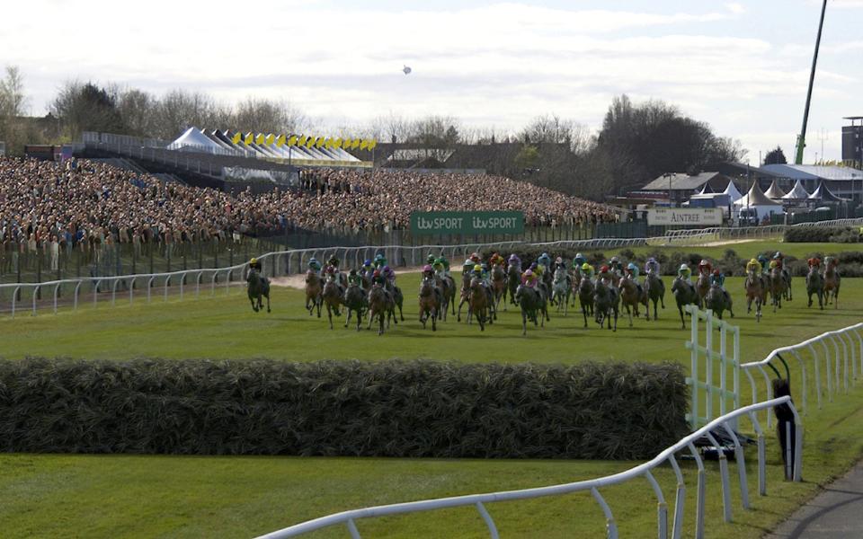 Virtual horses approaching a virtual fence - ITV