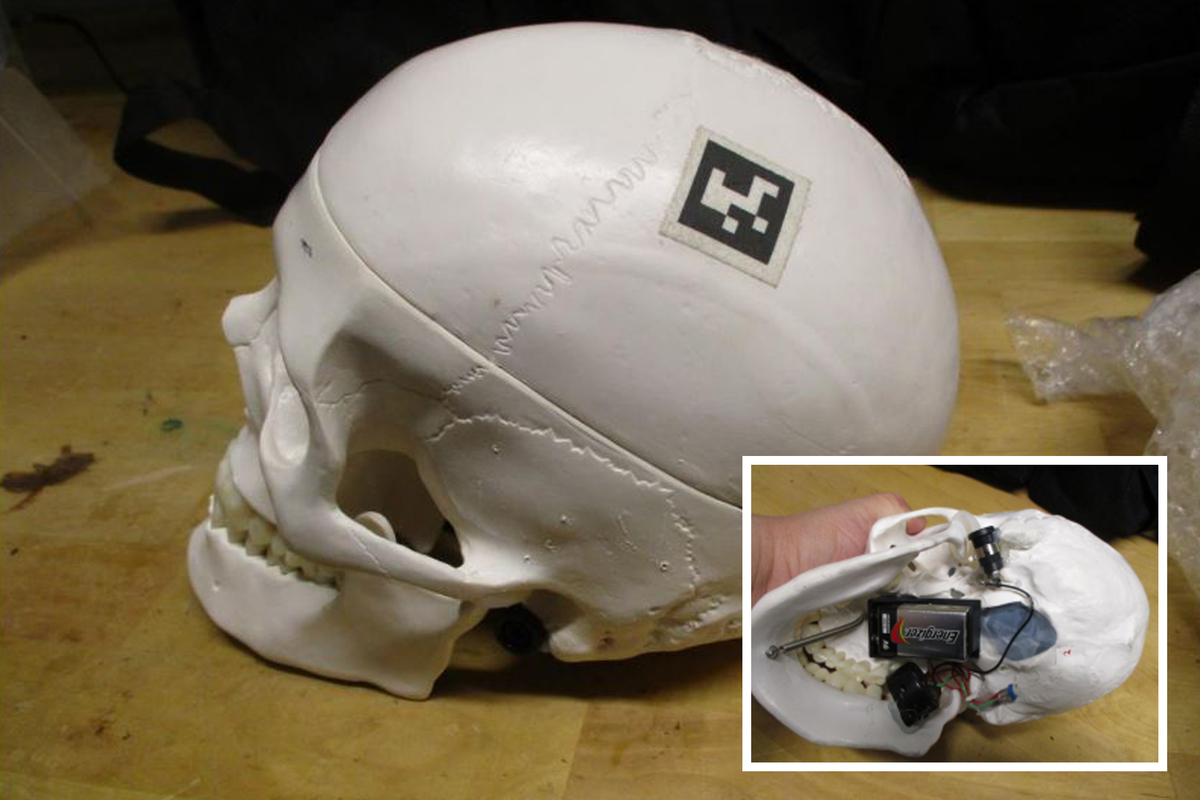 Skullduggery: The model skull triggered a security alert  (Transportation Security Administration)