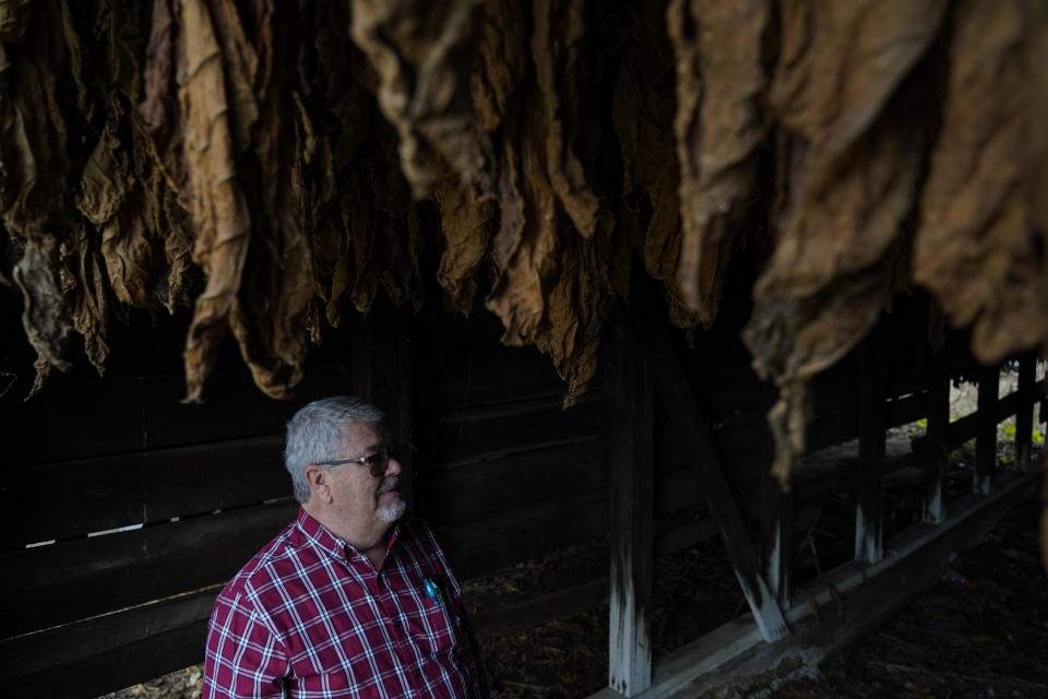 Keith Lowry stands inside a tobacco barn, Thursday, Nov. 9, 2023, in Pilot Oak, Ky. Lowry, like many other farmers in the area, lost some crop after historic rainfall and flooding earlier in the summer. (AP Photo/Joshua A. Bickel)