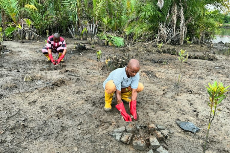 a local community leader is pushing ahead with a project to restore the spoiled forests (Kadiatou Sakho)