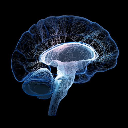 <span class="caption">Human brain illustrated with interconnected small nerves.</span> <span class="attribution"><span class="source">Johan Swanepoel/Shutterstock</span></span>