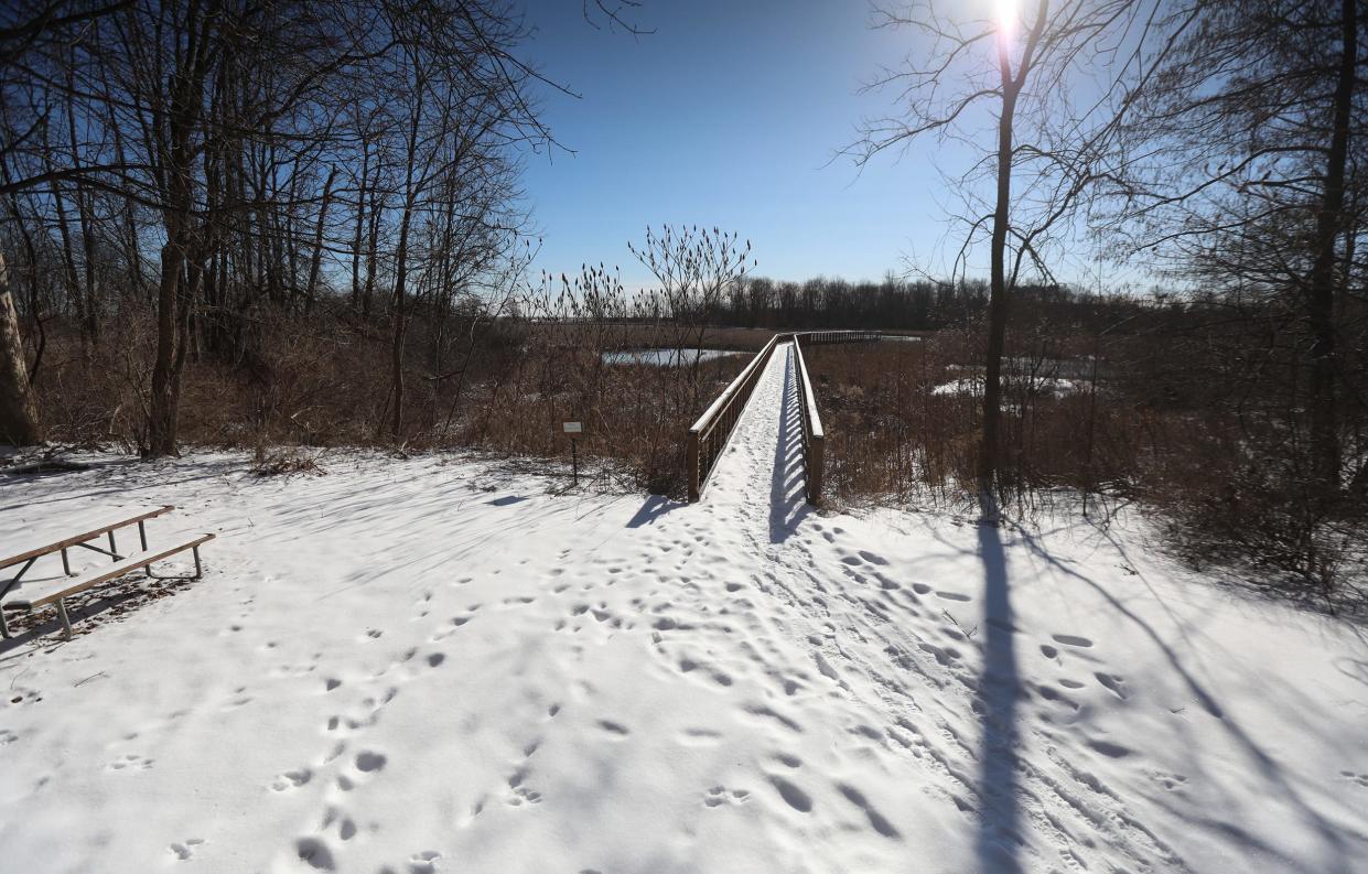 An area over looking a marsh in Yanty Creek Nature Trail at Hamlin State Park was a great place to see variety of birds that included two types of woodpeckers and Eastern bluebirds.