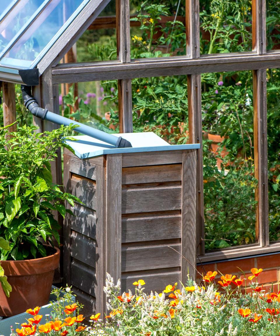 rain barrel alongside a greenhouse