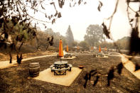 Following the Glass Fire, umbrellas stand in a scorched picnic area at Fairwinds Estate Winery on Thursday, Oct. 1, 2020, in Calistoga, Calif. (AP Photo/Noah Berger)