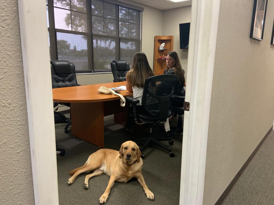 Drew the therapy dog is a familiar face to everyone at Station 1 of the North River Fire District in Palmetto.