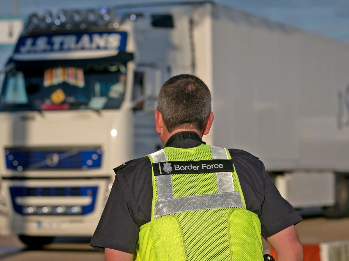 Not all Border Force staff had DBS checks, the watchdog said (Getty)