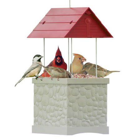 1) Infinity Bird Feeder