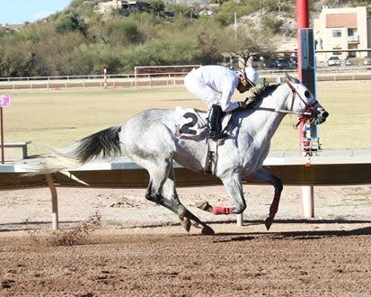 Ize A Crafty Gal, shown here under jockey Daniel Aguilar, scores a convincing win in the Pete Selin Stakes at Rillito Park on March 5, 2022.