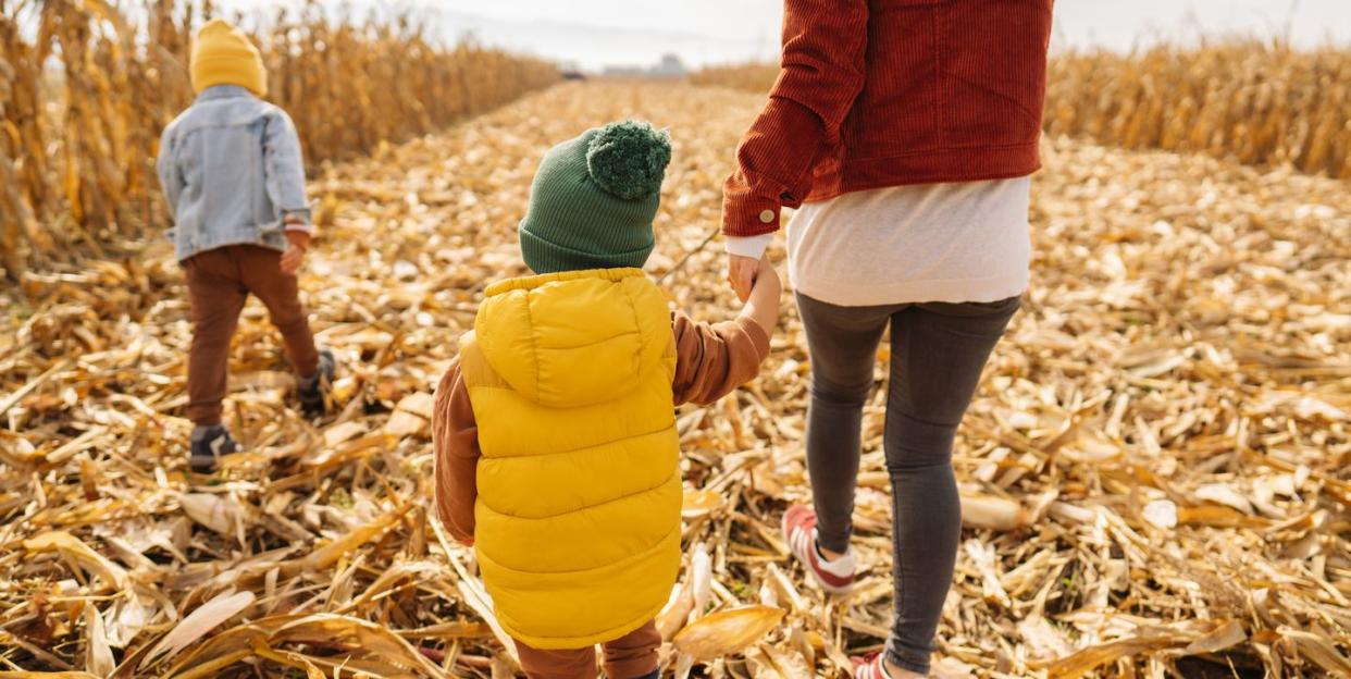 corn maze near me