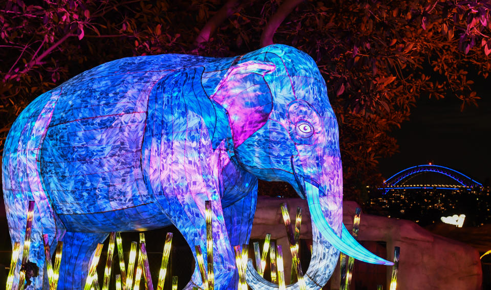 PHOTOS: Vivid Sydney 2019