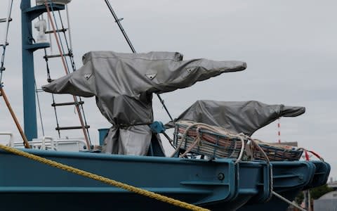 Whaling vessels ready to be deployed in Kushiro on Sunday - Credit: REUTERS/Kim Kyung-Hoon