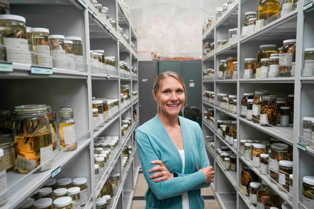 Laura Monahan, associate director and curator of osteology for the University of Wisconsin-Madison Zoological Museum, received an Academic Staff Excellence Award for her outstanding work for the museum.