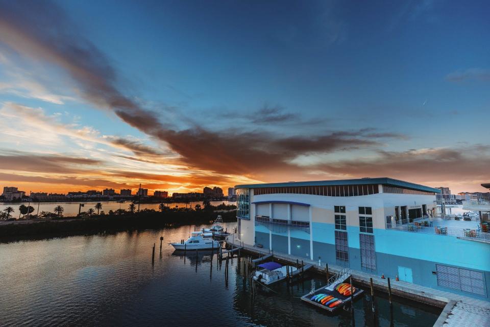 The Clearwater Marine Aquarium would be one of the beneficiaries of a specialty license plate if approved by the Florida Legislature. The aquarium features dolphins, sharks, stingrays and boat tours of Clearwater Bay.