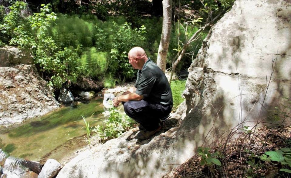 Freddy Otte, biologist for the city of San Luis Obispo, sits in a spot that was previously a dam blocking the San Luis Obispo Creek along the Cuesta Grade. The dam was removed in the early 2000s to allow steelhead to migrate upstream.