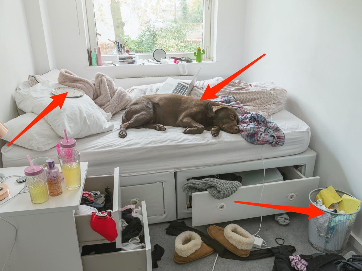 Hoarding Technician Shares Cleaning Hacks for a Spotless Home