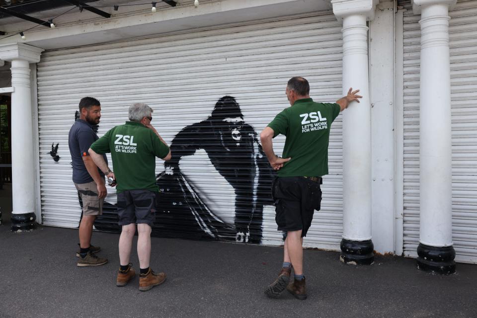 'Absolutely brilliant' Banksy paints piece on London Zoo's shutters