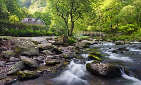 This walk features the ancient oak woodlands along the banks of the East Lyn river - Credit: getty