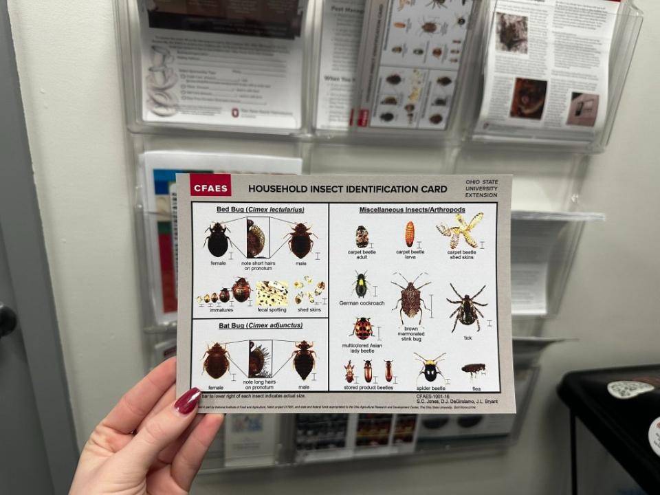 Ticks are typically most active from April to September, but they are emerging earlier than usual this year because of the mild winter.