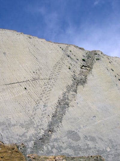 Dos rastros paralelos de dinosaurios en el yacimiento Cal Orck'o (Sucre, Bolivia). Luis Alcalá