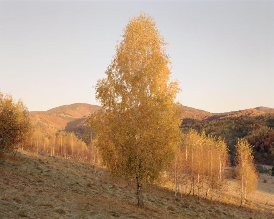 The border between Piatra Craiului National Park and the Barsa Hunting Area in Romania (Nicholas J R White)