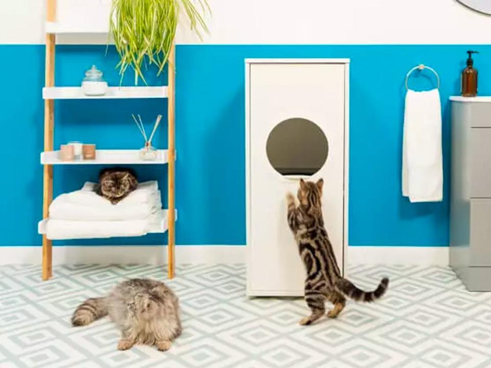 A brown cat on its hind legs looking into the circular cutout of the Omlet Maya Cat Litter Box inside a bathroom with two other cats, one laying on the floor and the other sitting atop a pile of towels on a ladder shelf.