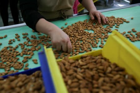 A worker sorts and removes imperfect almonds at Capay Canyon Ranch in Esparto, California, U.S. April 2, 2018. REUTERS/Elijah Nouvelage/Files