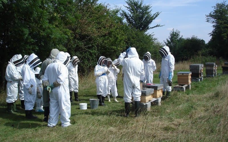 An NBU beekeeper training day